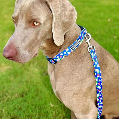 Lucky Love Dog - Adjustable Dog Collar with Easy Click Buckle for Large Ones, Durable, & Comfortable for Male & Female Dogs, Pet Collar for Puppies & Adult Dogs - Lilian, Large
