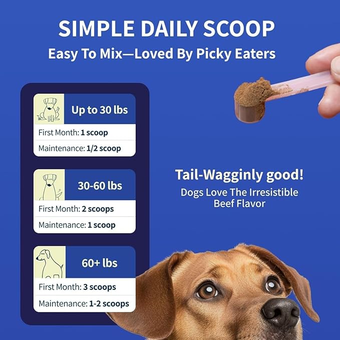 Fifth & Fido Joint Supplement for Dogs - Glucosamine for Dogs - Pet Vitamins and Supplements Powder with Chondroitin & MSM - Hip & Joint Support for Mobility, Stiffness & Flexibility - Mushroom Blend