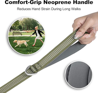 Plutus Pet Heavy Duty Dog Leash with Lockable Aluminum Carabiner, 4/6 Feet Long, Double-Sided Reflective Nylon, Padded Handle, for Puppy, Small, Medium and Large Dogs (Ranger Green, 4/5" x 6')
