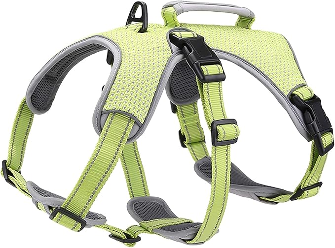BELPRO Multi-Use Support Dog Harness, Escape Proof No Pull Reflective Adjustable Vest with Durable Handle, Dog Walking Harness for Big/Active Dogs (Green, S)