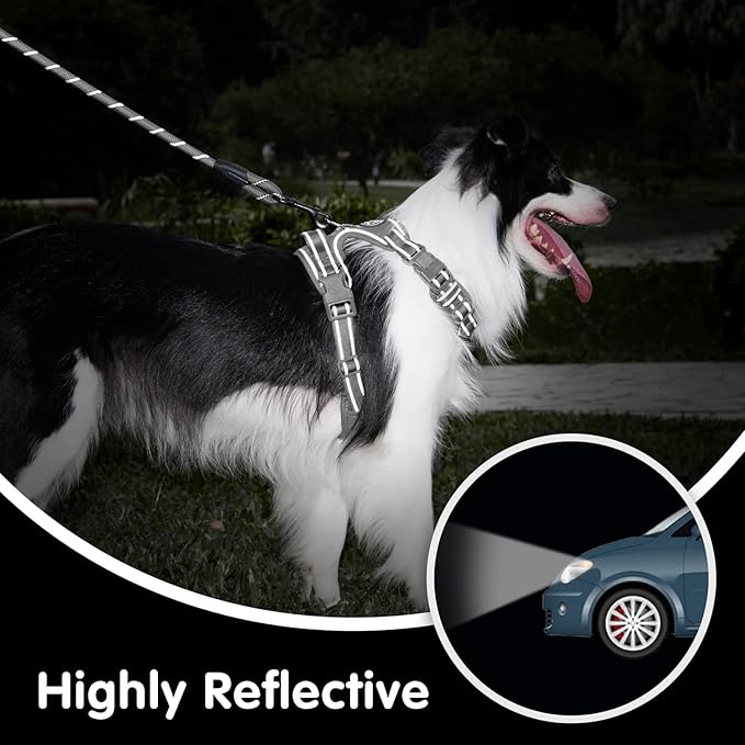 PoyPet No Pull Dog Harness and 5 Feet Leash Set, Release on Neck Reflective Adjustable Pet Vest, Front & Back 2 D-Ring and Soft Padded Pet Harness with Handle for Small to Large Dogs(Grey,L)