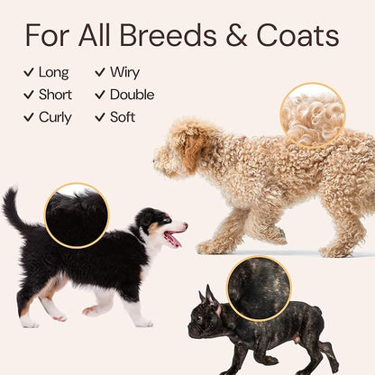 Sunny & Honey Dog Grooming Kit & Shampoo Bundle Pack - 16 oz Coconut Honey Shampoo & Conditioner Set - 8 oz Breeze Dog Deodorizing Spray - Deshedding Brush - Microfiber Towel
