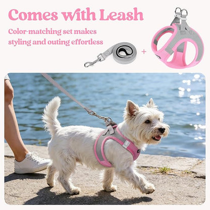 rabbitgoo Dog Harness Small Sized and Leash Set, Step in Soft Light Puppy Vest, Breathable Mesh Pet Harness, Reflective for Safe Easy Walking, Pink & Gray S
