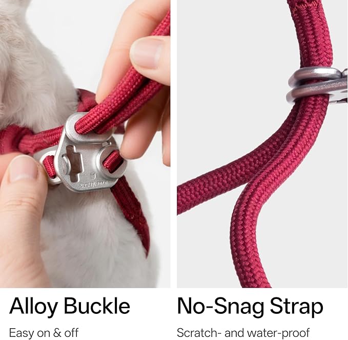 BuddyArmor Escape Proof Y Shape Cat Harness Anti-Choke Buckle Adjustable Comfortable Padded Cat Vest Harness Anti Escape Cat Rope Harness for Kitten Small Medium Large Cats (Olive, S)