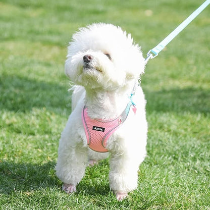 AIITLE Small Harness for Puppy with A Leash - Dog Vest Harness with Super Breathable Mesh, Reflective No-Pull Pet Harness for Outdoor Walking, Running for Small Dogs, Cats Pink XXS