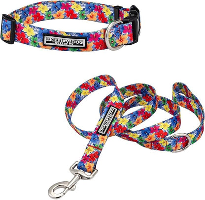 Lucky Love Dog - Easy Click Buckle Dog Collar with Leash Set Combo, Durable & Comfortable for Male & Female Dogs, Pet Collar for Medium Dogs, Secure Fit - Hana Combo, Medium
