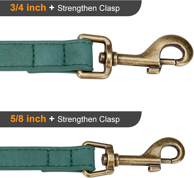 Didog Stylish PU Leather Dog Leash for Small Dogs, Easy to Clean 5ft Small Dog Leash with Metal Tangle-Free Clip, Fashionable and Elegant for Walking, Running and Training,Green, S