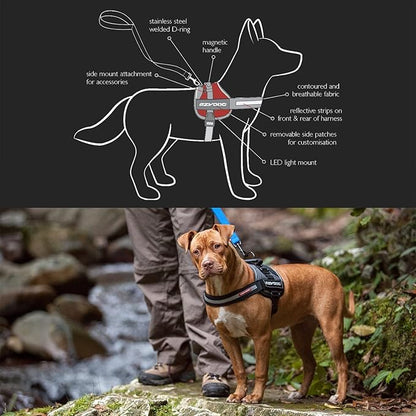 EzyDog Convert Dog Harness – Trail-Ready Rugged Harness for Walking, Hiking & Outdoors with Reflective Piping, Badge Attachment Points, Traffic Handle, & Comfort Lining (Medium, Blue)