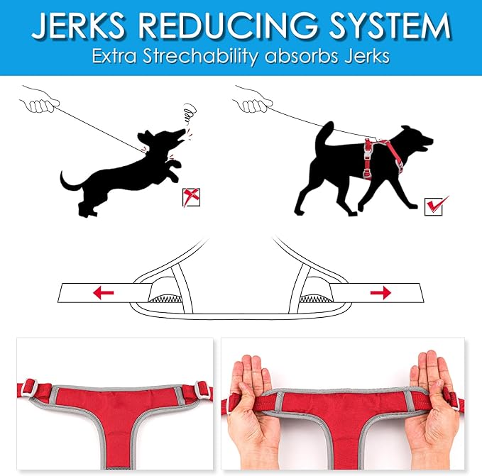 ThinkPet No Pull Harness Set Breathable Sport Harness with Handle - Reflective Padded Dog Safety Vest with Reflective Neon Dog Leash L Harness Leash Pack Red