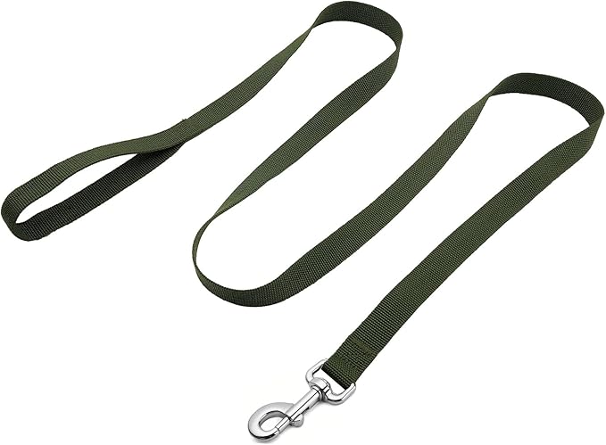 Strong Nylon Dog Leash, 4FT/ 5 FT/ 6FT Dog Leashes for Medium Large Dogs (6FT, Green)