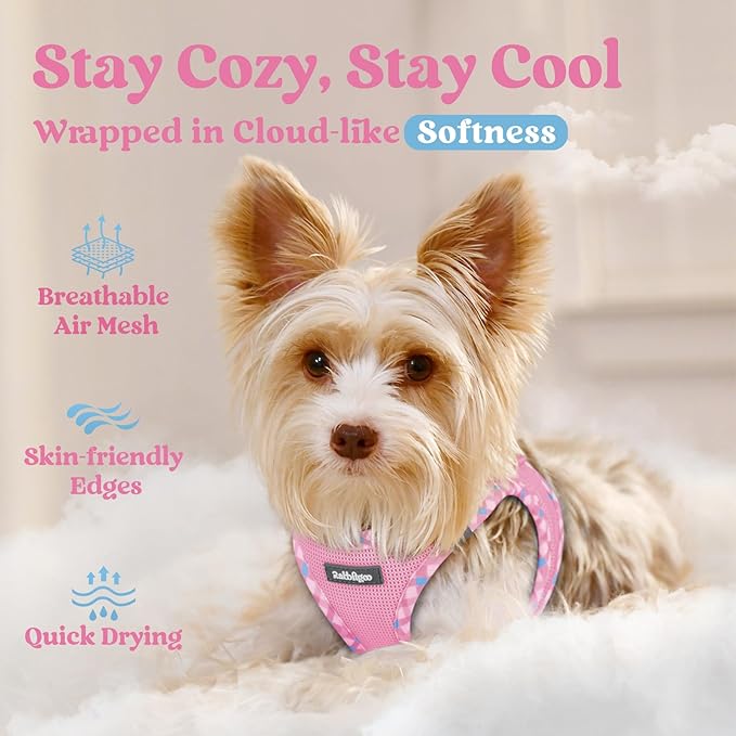 rabbitgoo Small Dog Harness, Step-in Soft Mesh Puppy Vest with Safety Buckle, Breathable Reflective Pet Harness for Small Sized Dogs, Pink & Plaid Trim M