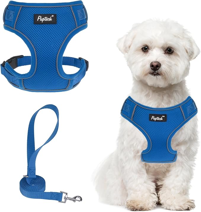 PUPTECK Small Dog Harness and Leash Set, No Pull Adjustable Puppy Cat Harness, Reflective Soft Mesh Pet Vest Small Sized, Blue, M