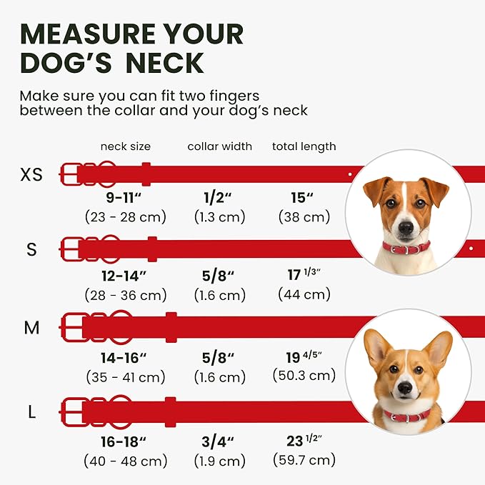 BRONZEDOG Rolled Leather Dog Collar for Small Medium Large Dogs with QR ID Tag (S: 12-14 Inch, Scarlet Red)