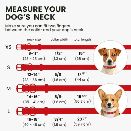 BRONZEDOG Rolled Leather Dog Collar for Small Medium Large Dogs with QR ID Tag (L: 16-18 Inch, Scarlet Red)