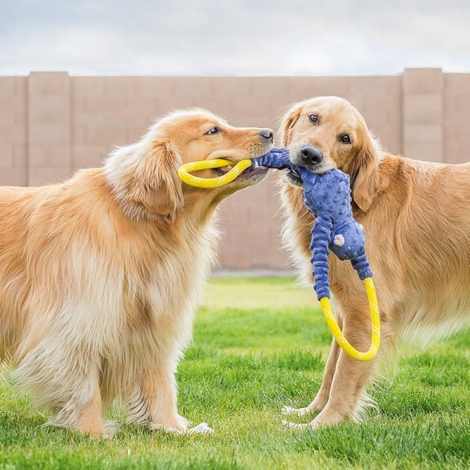 ZippyPaws RopeTugz - Durable Dog Pull Rope Toy, Interactive Tug of War for Large, Medium, & Small Dogs, Squeaky Pet Products to Keep Them Busy, Made with Heavy Duty Climbing Rope - Blue Monkey