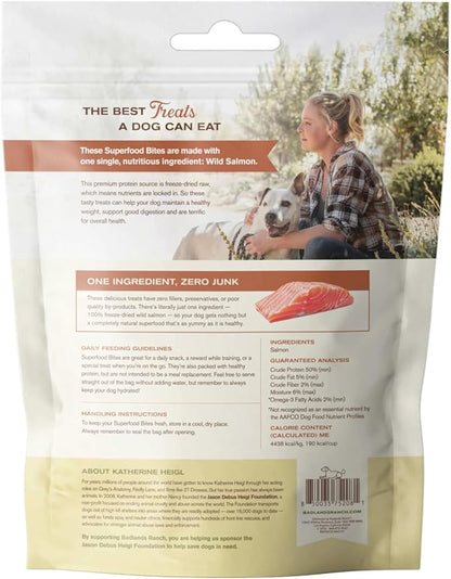 BADLANDS RANCH by Katherine Heigl – Superfood Bite Freeze-Dried Raw Wild Salmon Dog Treats – High Protein Single-Ingredient Snacks for Training, Rewards & Daily Wellness