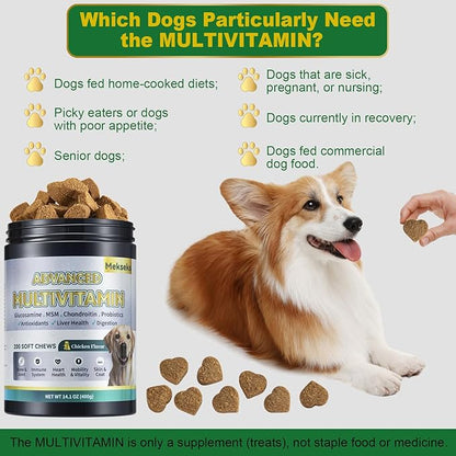 Advanced 24-in-1 Multivitamin Chews for Dogs - 200 Soft Chewable All-in-One Vitamin Support Supplement for Dog Joints, Gut Health, Skin & Coat with Omega-3, Probiotics & 12 Essential Vitamins