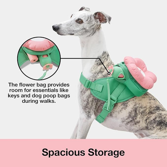 VETRESKA Flora Dog Harness, Leash and Collar Set, No Pull Dog Vest Harness for Walking and Training, Adjustable, Easy Control and Soft Padded Pet Harness and Backpack for Small Medium Large Dogs, L