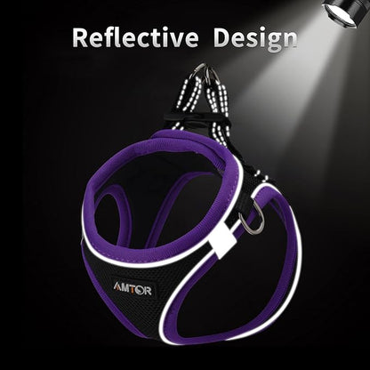 AMTOR Small Dog Harness with Leash Set, No Escape Easy Walk Puppy Harnesses for Training Walking, Step-in Reflective Soft Dogs Vest for XS S Medium Extra-Small Large Sized Dog(L,Black/Purple)