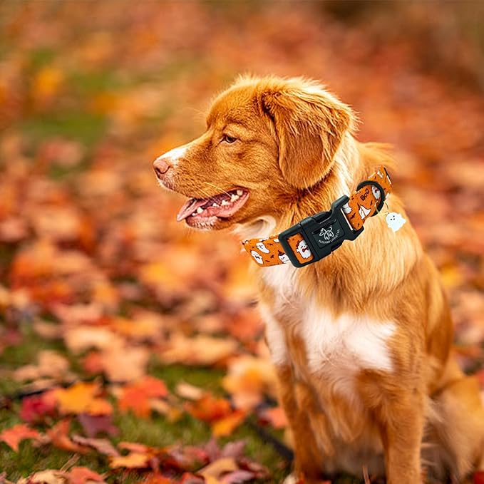 Elegant little tail Halloween Dog Collar, Pet Dog Collar Cotton Soft Ghosts Collars Holiday with Quick Release Buckle Pet Puppy Collar for Small Dogs