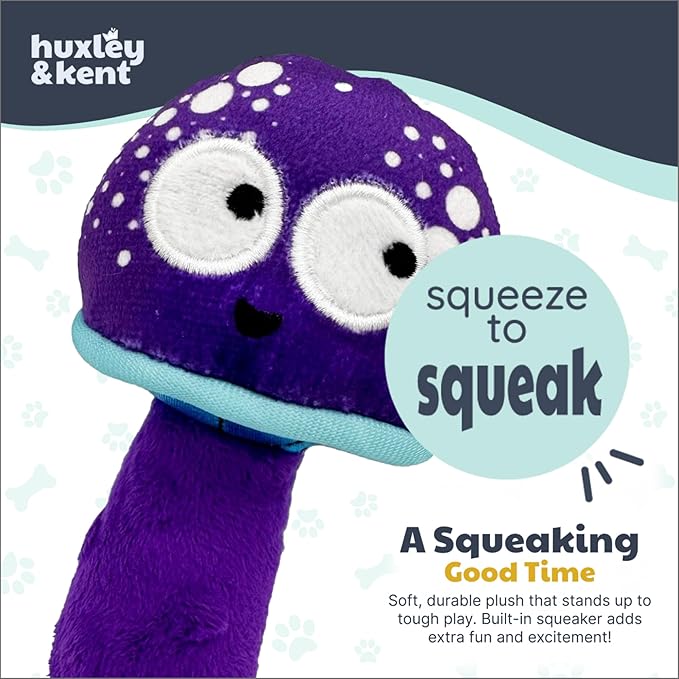 Huxley & Kent Funny Dog Toy w/Squeaker – Power Plush Squeaky Dog Toys for Small Dogs – Durable Small Stuffed Animal for Indoor Play & Fetch - Tiny Tuff Mellow Mushroom