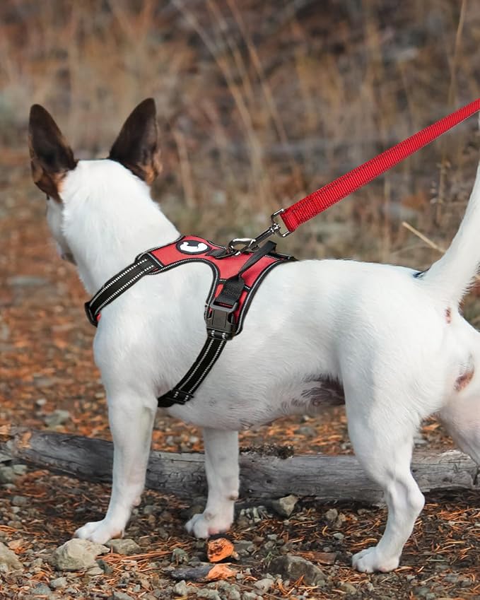 Joytale Double-Sided Reflective Dog Leash, 6 FT/5 FT/4 FT, Padded Handle Nylon Heavy Duty Leashes for Small & Medium Dogs Walking, Red, 6FT