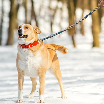 Mile High Life Rope Leash with Genuine Leather Connection, 6 FT/5 FT/4 FT, Heavy Duty Dog Leash for Medium & Large Dogs (Peacock Blue, 72 Inch)