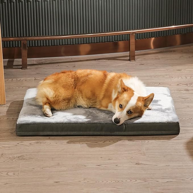 Amazon Basics Dog Bed with Cooling Gel Memory Foam, Pressure-Relief Support for Dogs up to 50lbs, Non-Slip Bottom, Machine Washable Cover, Large Sized (35" x 22"), Grey
