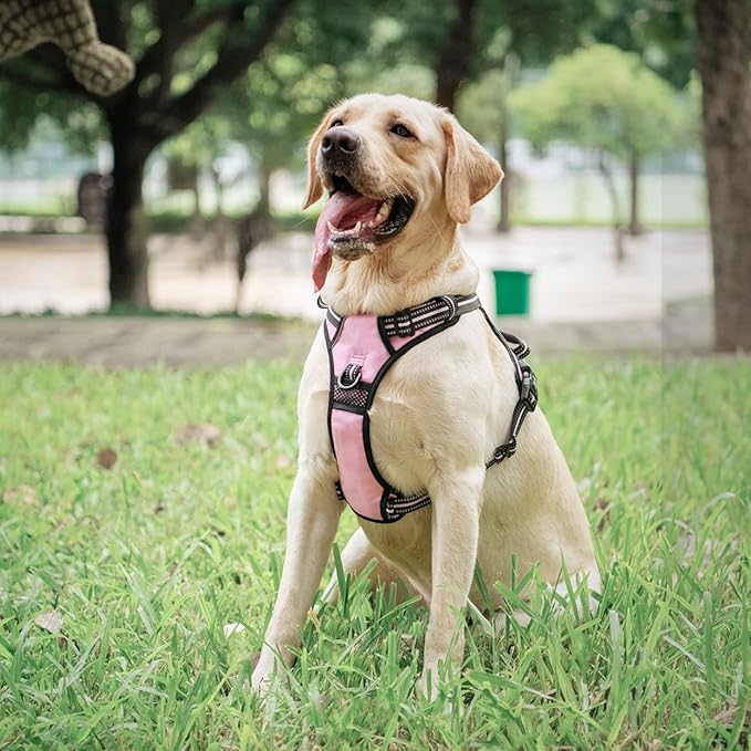 PoyPet No Pull Dog Harness, [Release on Neck] Reflective Adjustable No Choke Pet Vest with Front & Back 2 Leash Attachments, Soft Control Training Handle for Small Medium Large Dogs(Light Pink,S)