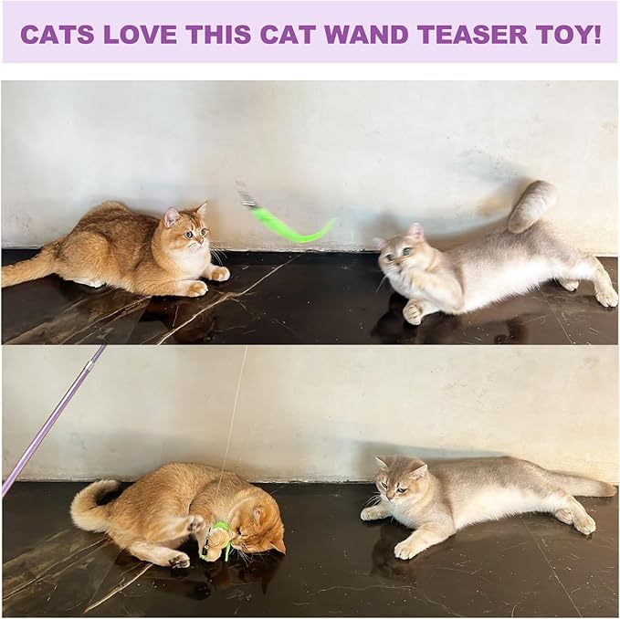 Cat Toys for Indoor Cats, 11PCS Interactive Cat Toy Wand Pack, 2 Retractable Cat Wand & 7PCS Worm Teaser Refills, Plush Fish Kitten Toys, Cat Feather Fishing Pole Toy for Play Chase Exercise