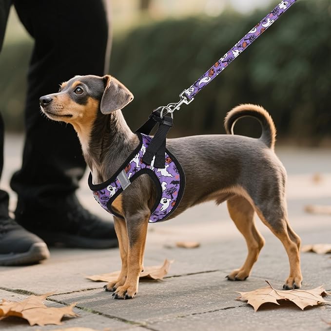 KOOLTAIL Halloween Dog Harness and Leash Set for Small Medium Dogs, Step in No Pull Soft Mesh Harness Comfort Padded Pet Vest, Adjustable Reflective Easy Walking Puppy Cats Harness Training, Ghost S