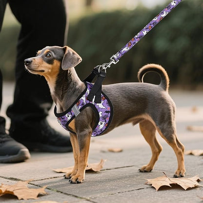 KOOLTAIL Halloween Dog Harness and Leash Set for Small Medium Dogs, Step in No Pull Soft Mesh Harness Comfort Padded Pet Vest, Adjustable Reflective Easy Walking Puppy Cats Harness Training, Ghost S