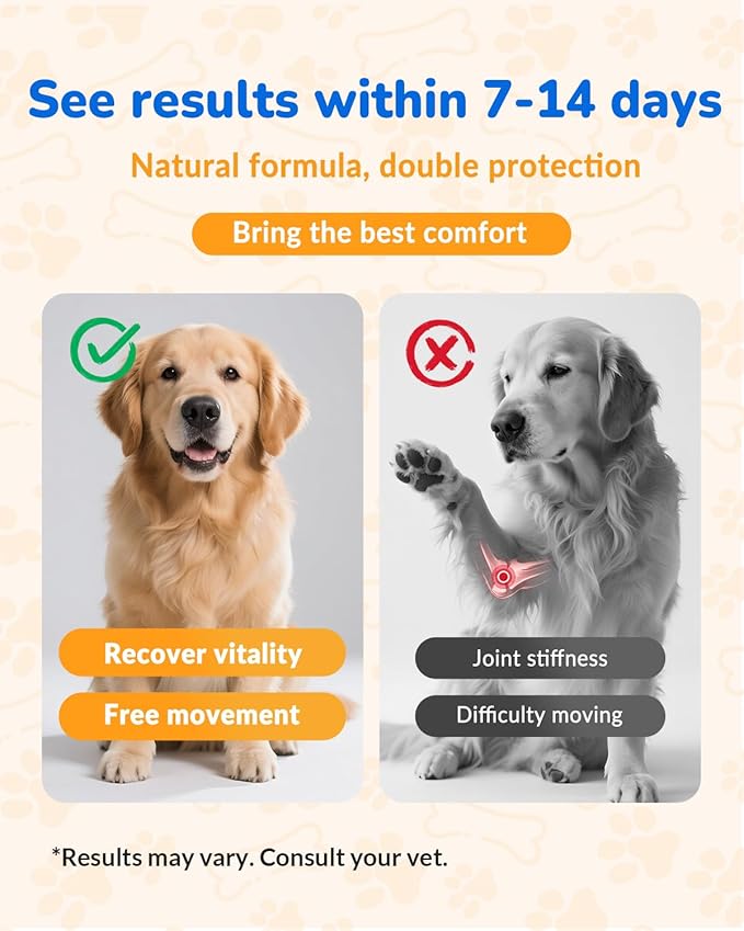 Glucosamine for Dogs 260Ct Chews - 23oz Hip and Joint Supplement Chews for Dogs, Chondroitin Joint Supplement for Dog Joint, USA Lab Formula with Probiotics, Natural Support for Dogs