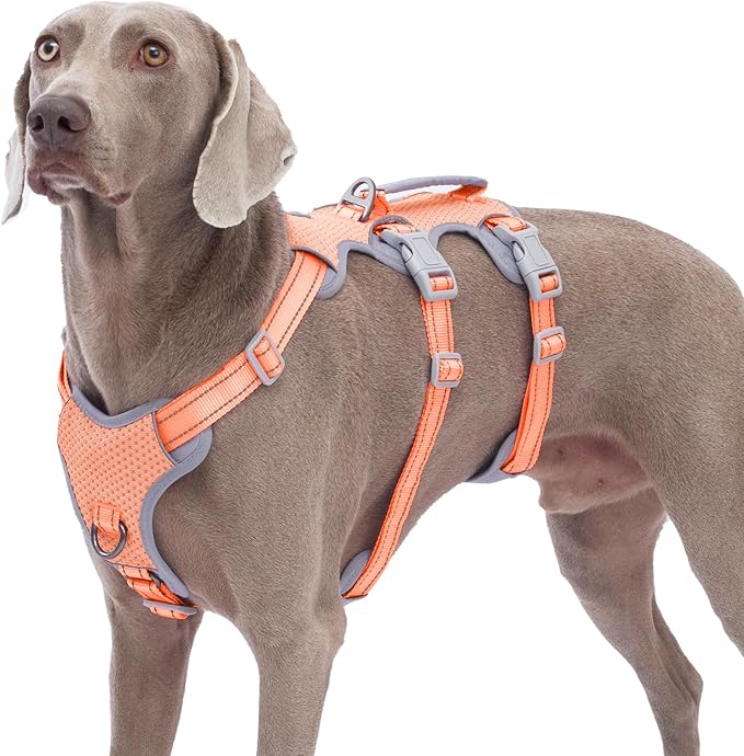 Huntboo Escape Proof Dog Harness, No Pull Reflective Harness with Lift Handle, Adjustable Pet Vest with Front and Back Leash Clips for Small Medium Large Dogs Walking Hiking Training (Orange,L)