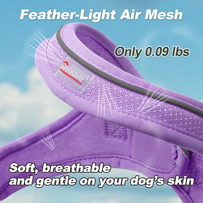 Dog Harness and Leash Set,Step in Small Sized Dog Harness,Soft Mesh,No-Chock,Reflective Adjustable,Secure with Hook & Loop Fastener,Puppy Vest for Small,Medium Dogs(Violet Purple,L)