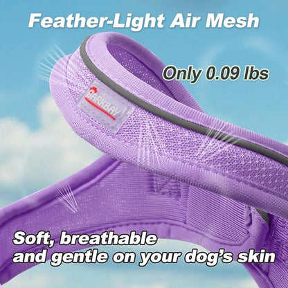 Dog Harness and Leash Set,Step in Small Sized Dog Harness,Soft Mesh,No-Chock,Reflective Adjustable,Secure with Hook & Loop Fastener,Puppy Vest for Small,Medium Dogs(Violet Purple,L)