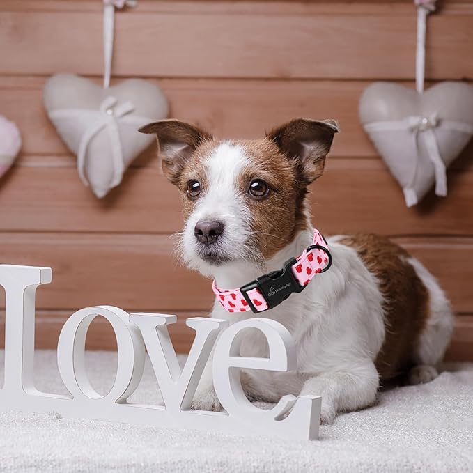 ARING PET Valentine's Day Dog Collar, Cute Pink Heart Pet Collars with Quick Release Buckle for Puppy Small Medium Large Boy Girl Dogs-XS