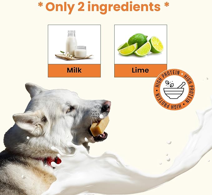 The safest All-Natural Cheese Chews - Large (Pack of 4) - NO Chunks, NO preservatives, NO Bad Smell, Great Teeth Cleaner, Super Long-Lasting