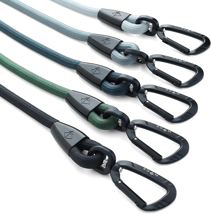 MADE TO ROAM Premium Everyday Leash - Ultra Soft Dog Leash with Aviation Aluminum Carabiner for Small, Medium, Large Dogs - California Horizon, 6ft (Rubber Coated Metal Clamps)