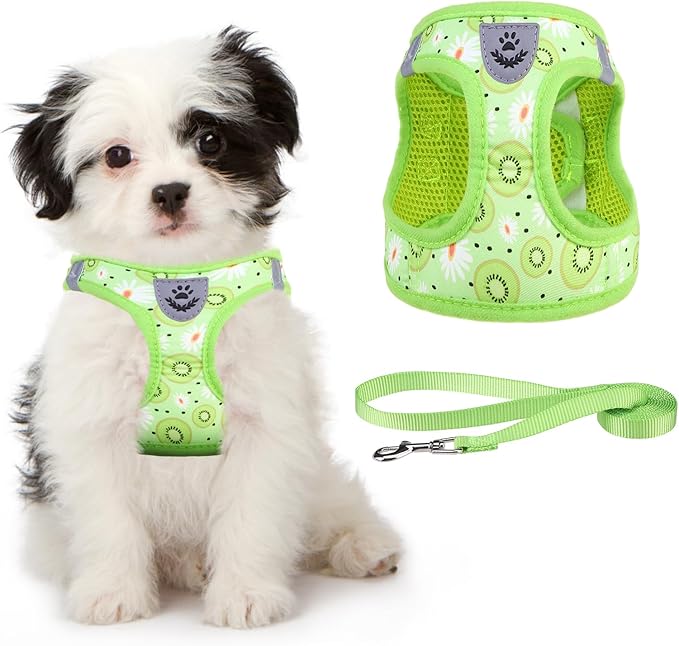 KOOLTAIL Dog Harness and Leash Set for Small Medium Dogs, Step in No Pull Soft Mesh Dog Harness Comfort Padded Pet Vest, Adjustable Reflective Easy Walking Puppy Cats Harness Training, Kiwifruit S