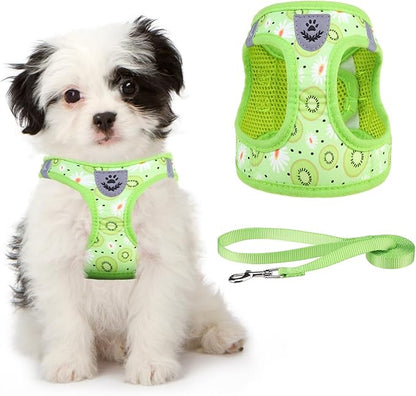 KOOLTAIL Dog Harness and Leash Set for Small Medium Dogs, Step in No Pull Soft Mesh Dog Harness Comfort Padded Pet Vest, Adjustable Reflective Easy Walking Puppy Cats Harness Training, Kiwifruit S