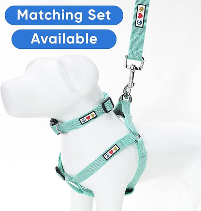 Pawtitas Teal Dog Leash 6 ft M/L Reflective Durable Lightweight Dog Lead for Medium or Large Dogs and Puppies