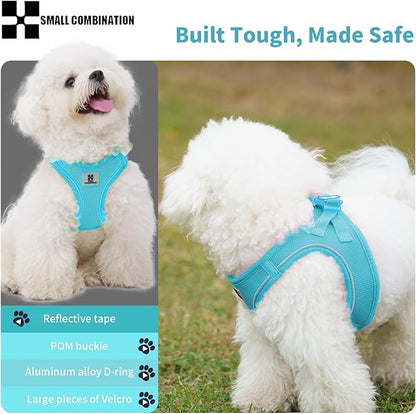 Adjustable Dog Harness with Leash, Reflective Mesh, No-Pull Design，Matching Lead Rope (SkyBlue, XXS)