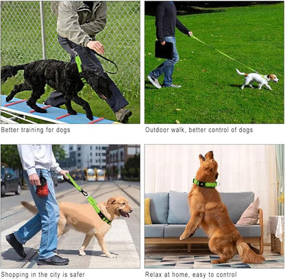 Plutus Pet Reflective Martingale Collar with Buckle - Durable and Adjustable Training Collar for No Pulling, Dog Choker Collar for Small Medium Large Dogs, Bright Green, XS