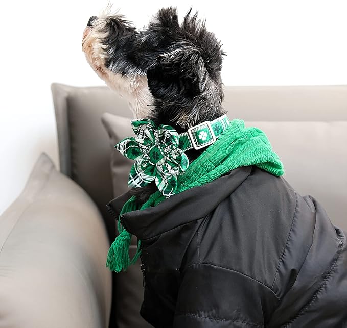 Lionet Paws St Patricks Day Dog Collar with Flower, Irish Green Shamrock Clover Flower Collar with Metal Buckle for Dogs, Adjustable Comfortable Dog Collar Girl, L, Neck 16-24 in