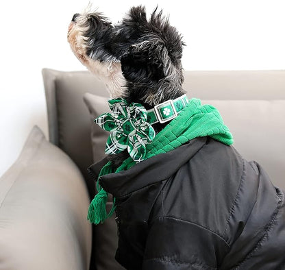 Lionet Paws St Patricks Day Dog Collar with Flower, Irish Green Shamrock Clover Flower Collar with Metal Buckle for Dogs, Adjustable Comfortable Dog Collar Girl, L, Neck 16-24 in