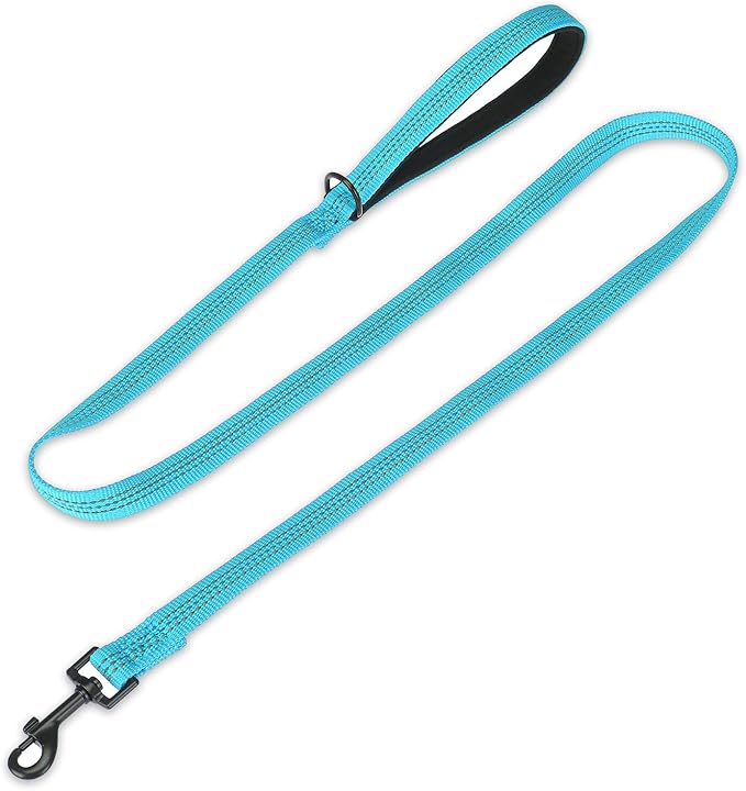 PUPTECK Reflective Dog Leash with Comfortable Padded Handle Durable Nylon Dog Lead for Small Medium and Large Dogs Cats Walking Running Training Outside, Teal, M