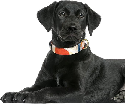 Rnivvi Dog Collar for Large Dogs, Cute Heavy Duty Adjustable Puppy Collar with Quick Release Buckle for Boy Girl & Female, Pet Accessories for Walking Running, L Length 1" Width, Abstract Art