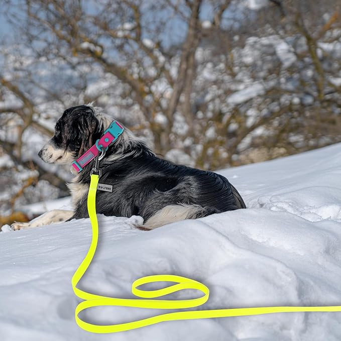 Wolfone 40ft Yellow Long Leash - Waterproof Training Dog Leash for Recall, Swimming, Camping, Beach, Hunting, Walking