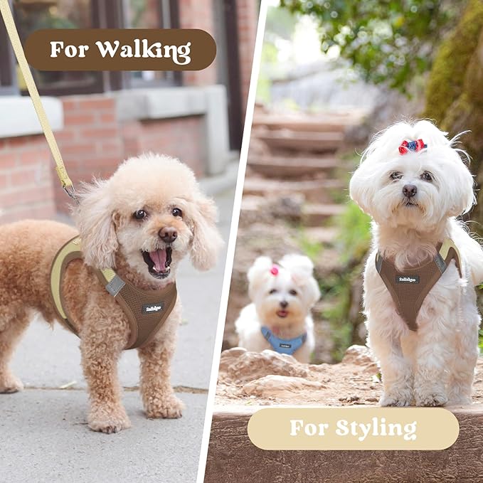 rabbitgoo Small Dog Harness, Step-in Soft Mesh Puppy Vest with Safety Buckle, Breathable Reflective Pet Harness for Small Sized Dogs, Brown & Beige M